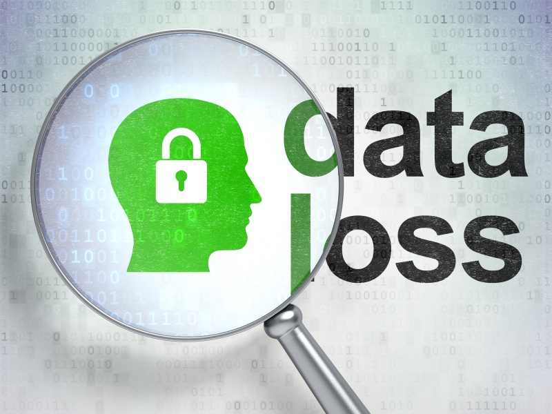 data-loss-business-owners