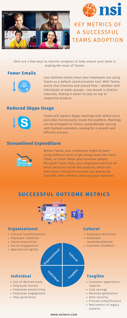 NSI Metrics of Successful Teams Adoption (1)